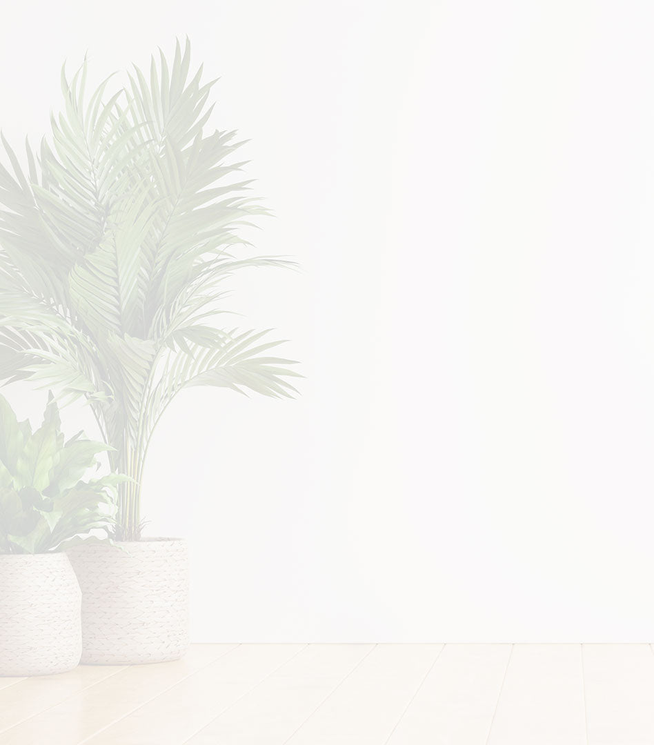 Collection page banner